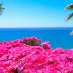 Vila Atardecer By Interhome Torrox
